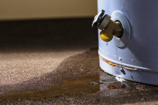 Best Water damage restoration experts  in Lewiston, UT