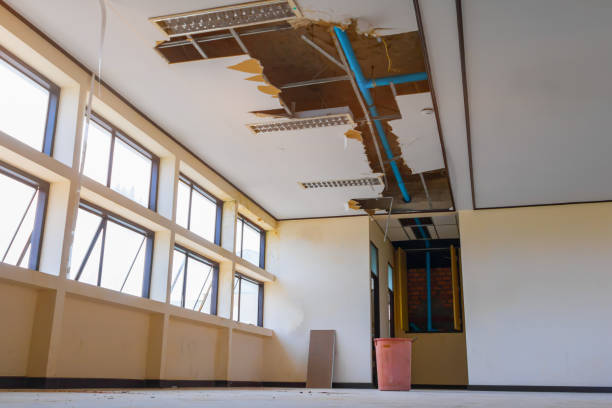 Best 24-hour water damage restoration  in Lewiston, UT