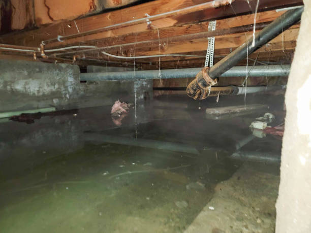 Best Water damage restoration company  in Lewiston, UT