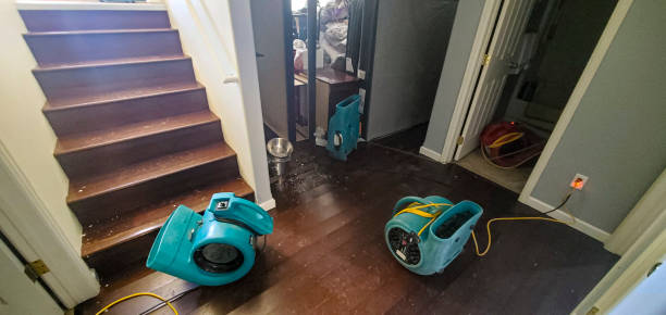 Best Flood restoration services  in Lewiston, UT