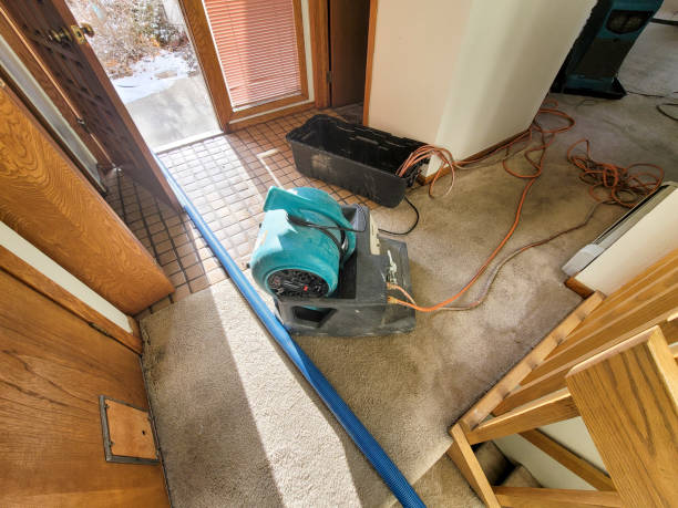 Best Local water damage restoration  in Lewiston, UT