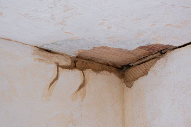 Best Carpet water damage restoration  in Lewiston, UT