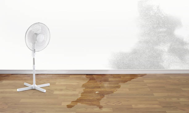 , UT Water damage restoration Company