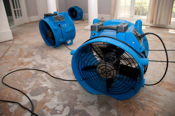 Water damage restoration experts in UT