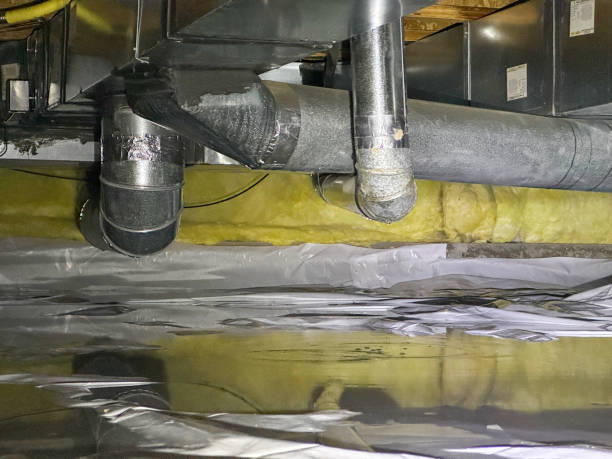 Best Water damage cleanup near me  in Lewiston, UT