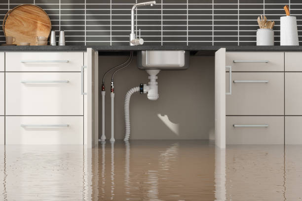 Best Water damage cleanup near me  in Lewiston, UT