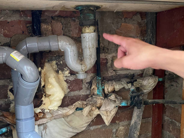 Best Fire Damage Restoration  in Lewiston, UT