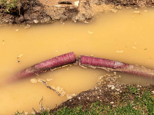 Best Residential water damage restoration  in Lewiston, UT