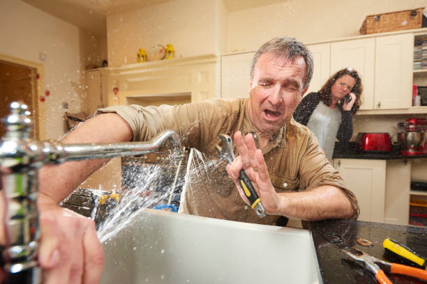 Best Mold removal after water damage  in Lewiston, UT